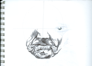 estudio de boca de anciano_2006