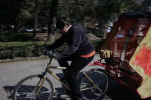 alameda_recorrido carro auriga_dic 2008