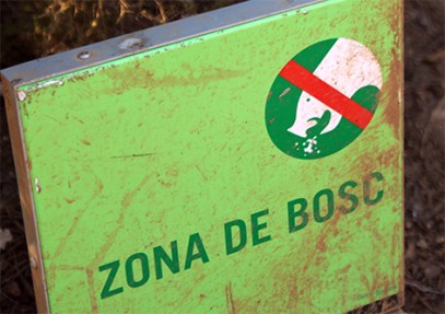 el bosc dels jabalies. Bcn_2015