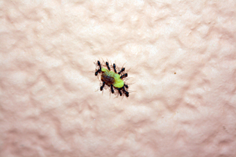 desayuno en plutón ;)_2011