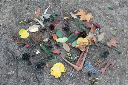 observando el bosque_BcnNov214