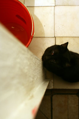 en espera del salto_2010