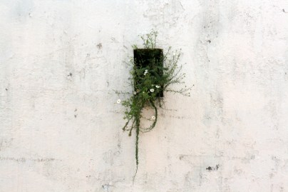 geométrico-orgánico_dic 2013