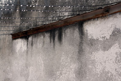 sonidos de agua_2010