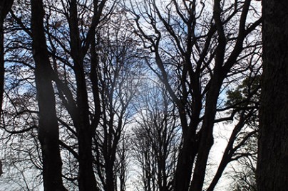 serena saciedad_oct2014_