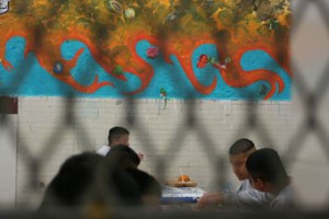 la jaspia de cada día